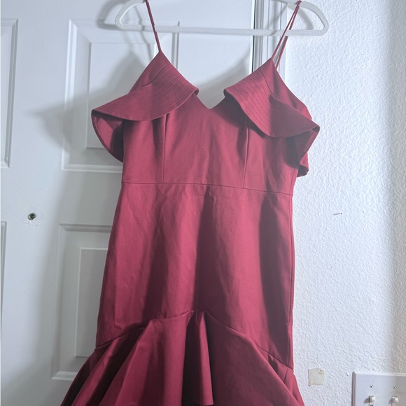 Alexis Scarlet High-Low Ruffle Dress - Picture 4 of 4